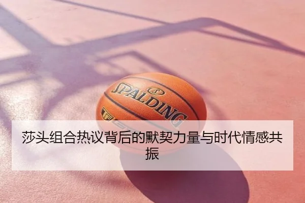 莎头组合热议背后的默契力量与时代情感共振